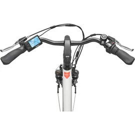 Telefunken RC835 28 Zoll RH 47 cm Damen weiß