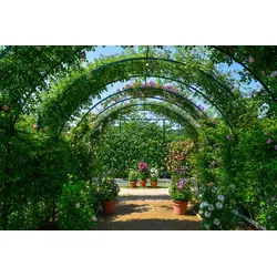 Fototapete PAPERMOON "Garten", bunt, B:5,00m L:2,80m, Vlies, Tapeten