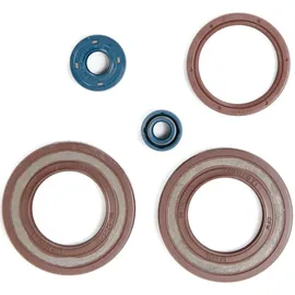 ogio brasil Dichtungsvollsatz Motor