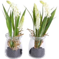 Kunstblume Muscariarrangement im Glas, Botanic-Haus, Höhe 17 cm beige|weiß