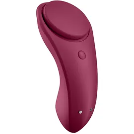 Satisfyer Sexy Secret Connect App