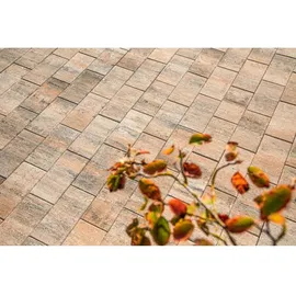 Diephaus Terrassenplatte Corso Muschelkalk 40 x 20 x 4 cm