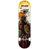 Tony Hawk SS 180 Hawk Roar Skateboard 7,75"