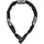 ABUS CH Lock 5415 Schwarz Kettenschloss