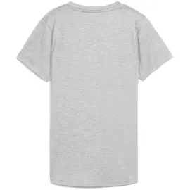 Puma TAD ESSENTIAL Heather Tee light gray heather M