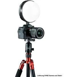 Rotolight NEO3 Ultimate Bundle RGBWW-LED-Leuchte