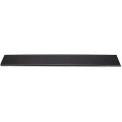 FAST Seitenschutzleiste FT90424G 9387500Q0B,93197643,768F20005R Seitenleiste,Seitenschutz