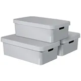 Curver INFINITY Aufbewahrungsboxenset mit Deckel, Kunststoff, Light Grey, 30 Liter, 3er Set