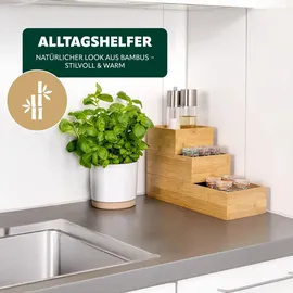 bremermann Aufbewahrungsbox 4-tlg. braun