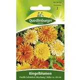 Quedlinburger Ringelblume, Pazifik Schönheit Mischung