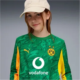 Puma Borussia Dortmund Torwarttrikot Jugendliche grün|orange 152