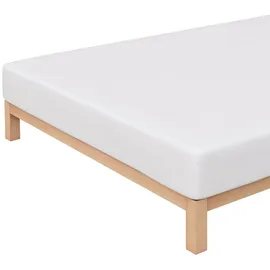 schlafgut Spannbettlaken Baumwolle-Jersey-Elasthan 90 x 200 - 100 x 220 cm weiß