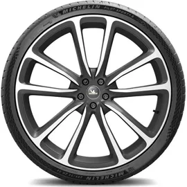 Michelin Pilot Sport 4 S 315/30 R19 104Y