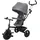 Kinderkraft Dreirad ASTON 2 Plus, grau
