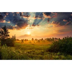 Fototapete PAPERMOON "Landschaft", bunt, B:4,00m L:2,60m, Vlies, Tapeten