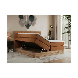 MKS Bellissimo King 140 x 200 cm H4 Orange