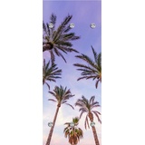 queence »Palmen und Himmel«, mit 6 Haken, 50 x 120 cm bunt
