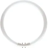 Philips Master TL5 Circular 22W/830 2GX13