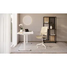 NOWY STYL Schreibtisch eComo Lichtgrau / Weiß