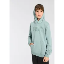 Puma Kapuzensweatshirt "ESS LOGO LAB EXECUTION HOODIE TR B", Jungen, Gr. 152, grün (grün moon), Sweatware, Obermaterial: 68% Baumwolle, 32% Polyester, bedruckt, regular fit normal, Sweatshirts, mit Print-Applikation, mit Kängurutasche, mit Kapuze