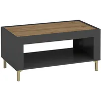 Mirjan24 Couchtisch, Schwarz, Rechteckig, 97x47x56 cm, Wohnzimmer, Wohnzimmertische, Couchtische