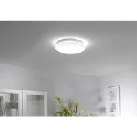 just light. Jupiter 35 cm CCT