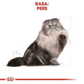Royal Canin Persian Adult 400 g