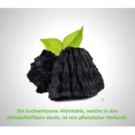 Siemens LZ45501 Aktivkohlefilter