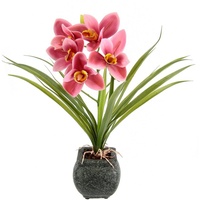 my home Kunstblume »Orchidee«, Mit Blätter im Topf aus Zement Künstliche Blume Cymbidium-Orchidee, rosa