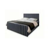 masseno Boxbett mit Bettkasten ¦ grau ¦ Maße cm B: 160 H: 98