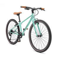 Bikestar Cityrad 26 Zoll RH 10 cm Unisex mint