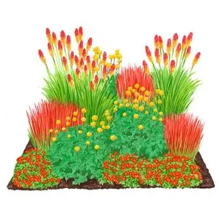 Bio Stauden-Set Feuerwerk im Garten, Landlust Kollektion, 12-teilig, Rot, Orange, Gelb, Hellbraun