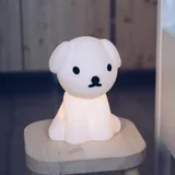 Mr Maria Snuffy First Light - My Hund - 19 - 16 - 23