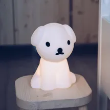 Mr Maria Snuffy First Light - My Hund - 19 - 16 - 23