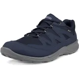 ECCO Terracruise LT Herren Blau 43