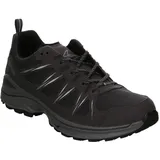 Lowa Innox EVO II GTX Schuhe (Größe 41.5, grau)