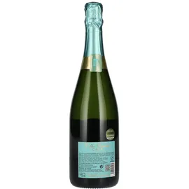 Villa Conchi Cava Brut 11,5 % vol 0,75 l