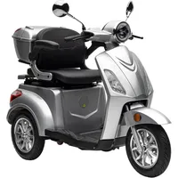 Nova Motors Elektromobil Bendi, 1200 W, 20 km/h, (mit
