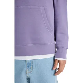 QUIKSILVER SALT WATER GRAPHIC Hoodie 2026 daybreak - L