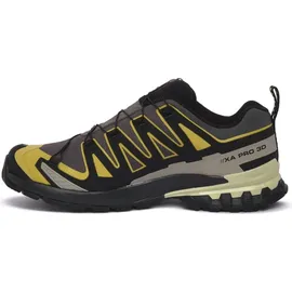 Salomon XA Pro 3D V9 GTX Herren Urban Chic/Black/Cress Green 44