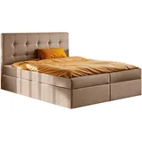 Kaiser Möbel Boxbett, Beige H3, 160x200 cm Schlafzimmer, Betten, Boxspringbetten