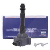 BorgWarner (Beru) Beru ZS178