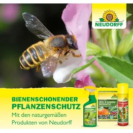NEUDORFF Spruzit Schädlingsfrei Insektizid 50 ml