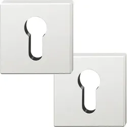 FSB Rosetten quadratisch ASL FSB - Zylinderrosette Aluminium silber eloxiert