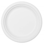 Duni 181983 - Bio Bagasse ø22cm 10 Stück, ecoecho, Partygeschirr, Einwegteller