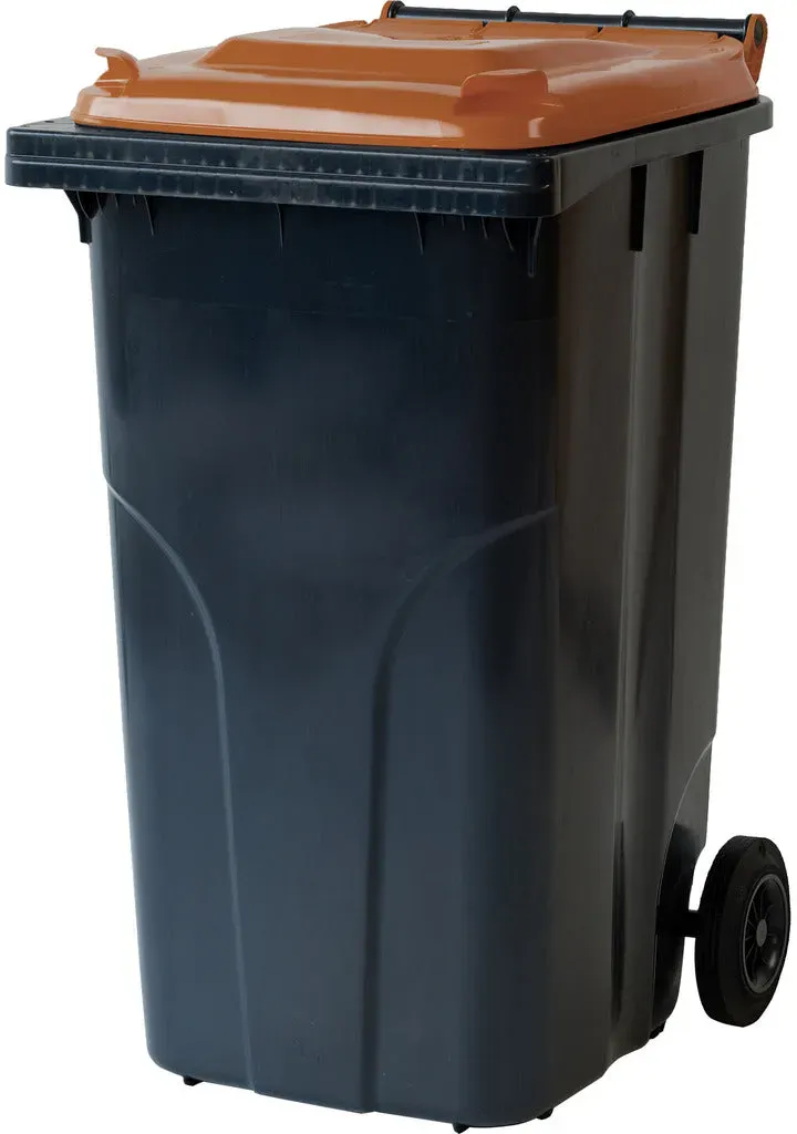 Abfall- und Wertstoffsammelbehälter / 2-Rad Container (F) -  anthrazit / anthrazit / 480