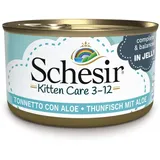 Schesir Kitten in Gelee 6 x 85 g - Thunfisch mit Aloe