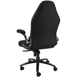 Tectake Springsteen Kunststoff Schwarz