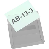 Eichner Magnet-Sichttasche aus Hart-PVC DIN A6 quer 154 x