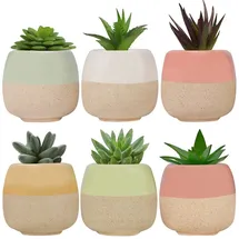 Belle Vous Mini Blumentopf Keramik (6 STK) - L6 x H5,5 cm Kleine Töpfe für Kakteen Mit Ablauf Loch - Für Zuhause, Büro, Innen, Außen, Garten - Deko Sukkulenten & Kaktus Übertopf Klein